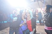 photo 10781853.jpg